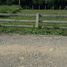  Land for sale in Saraphi, Chiang Mai, Don Kaeo, Saraphi