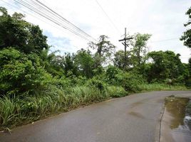  Land for sale in Krabi, Sai Thai, Mueang Krabi, Krabi