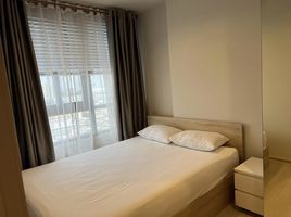 1 Bedroom Condo for rent at Nue Noble Ngamwongwan, Bang Khen, Mueang Nonthaburi, Nonthaburi