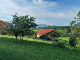 5 Schlafzimmer Haus zu verkaufen in Thoeng, Chiang Rai, Ngao, Thoeng