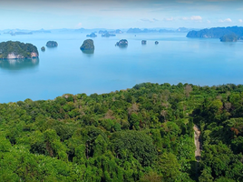  Grundstück zu verkaufen in Mueang Krabi, Krabi, Khao Thong, Mueang Krabi