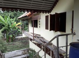 3 Schlafzimmer Haus zu verkaufen in Wiang Sa, Nan, Klang Wiang
