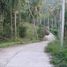  Land for sale in Surat Thani, Maenam, Koh Samui, Surat Thani