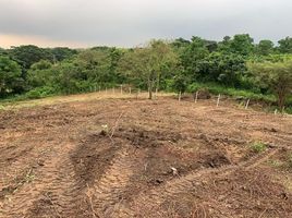  Land for sale in Guayaquil, Guayas, Guayaquil, Guayaquil