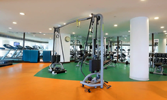 Photos 2 of the Communal Gym at Marsa Plaza