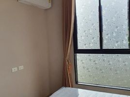 1 Bedroom Condo for rent at The Tree Onnut Station, Bang Chak, Phra Khanong, Bangkok, Thailand