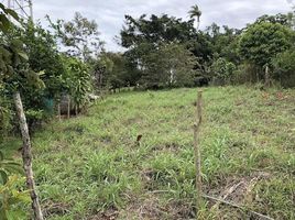  Land for sale in Limon, Siquirres, Limon