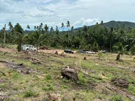  Grundstück zu verkaufen in Koh Samui, Surat Thani, Maenam