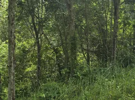  Land for sale in Mai Khao, Phuket, Mai Khao, Thalang