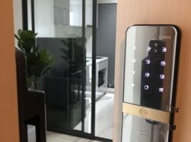 1 спален Кондо в аренду в Life Sukhumvit 48, Phra Khanong, Кхлонг Тоеи, Бангкок, Таиланд