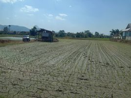  Grundstück zu verkaufen in Mueang Chiang Rai, Chiang Rai, Tha Sai