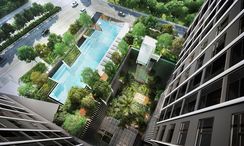 Photos 2 of the Communal Pool at Ideo Sukhumvit - Rama 4