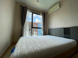 1 Schlafzimmer Wohnung zu verkaufen im The Privacy Ngamwongwan, Bang Khen