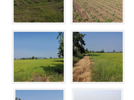  Land for sale in Ta Khit, Banphot Phisai, Ta Khit