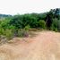  Land for sale in Phuket, Pa Khlok, Thalang, Phuket