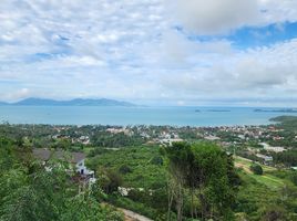  Land for sale in Bandon International Private Hospital, Bo Phut, Bo Phut