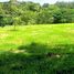  Land for sale in Alajuela, San Carlos, Alajuela