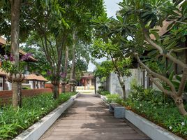 95 Bedroom Hotel for sale in Maret, Koh Samui, Maret