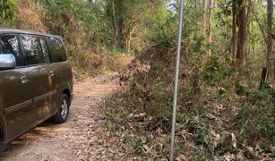 N/A Grundstück zu verkaufen in Huai Yap, Lamphun 