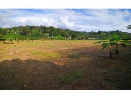  Land for sale in Osa, Puntarenas, Osa