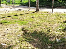  Land for sale in Surat Thani, Maret, Koh Samui, Surat Thani