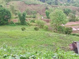  Land for sale in Bo Kluea Nuea, Bo Kluea, Bo Kluea Nuea