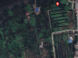  Land for sale in Bang Kachao, Phra Pradaeng, Bang Kachao