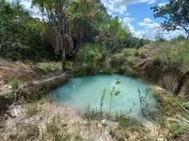  Grundstück zu verkaufen in Rio Preto Da Eva, Amazonas, Rio Preto Da Eva