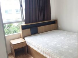 1 Schlafzimmer Wohnung zu vermieten im Lumpini Ville Onnut 46, Suan Luang