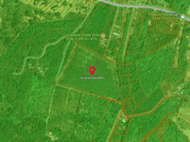  Land for sale in Pa Khlok, Thalang, Pa Khlok