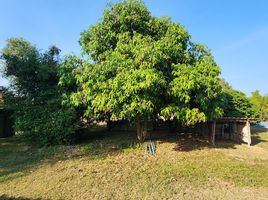  Grundstück zu verkaufen in Doi Saket, Chiang Mai, Mae Pong, Doi Saket