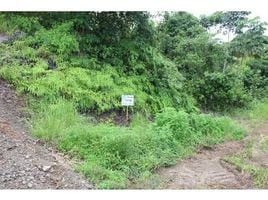  Land for sale in Osa, Puntarenas, Osa