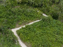  Land for sale in Maenam, Koh Samui, Maenam