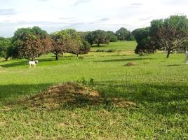  Grundstück zu verkaufen in Pangasinan, Ilocos, Villasis