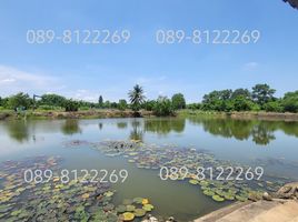  Land for sale in Bo Kwang Thong, Bo Thong, Bo Kwang Thong