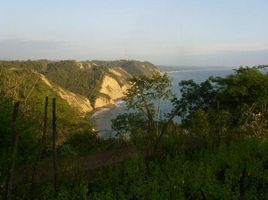  Land for sale in Ecuador, Yasuni, Aguarico, Orellana, Ecuador