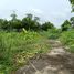  Land for sale in Khlong Hok, Khlong Luang, Khlong Hok