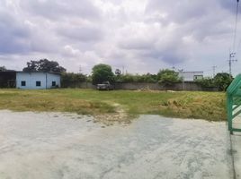  Land for sale in Nong Samsak, Pattaya, Nong Samsak, Ban Bueng