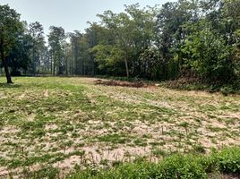  Land for sale in Sawai, Prang Ku, Sawai