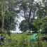  Land for sale in Sakhu, Phuket, Sakhu, Thalang