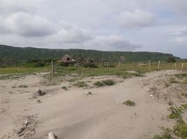  Land for sale in Bolivar, Cartagena, Bolivar