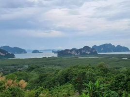  Grundstück zu verkaufen in Takua Thung, Phangnga, Khlong Khian, Takua Thung, Phangnga