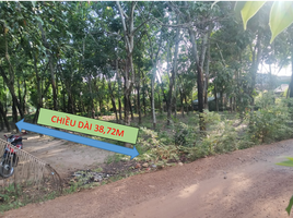  Grundstück zu verkaufen in Go Dau, Tay Ninh, Cam Giang