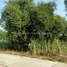  Land for sale in Thep Nimit, Kamphaeng Phet, Thep Nimit, Bueng Samakkhi, Kamphaeng Phet