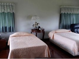 2 Schlafzimmer Haus zu verkaufen in San Sai, Chiang Mai, Nong Han