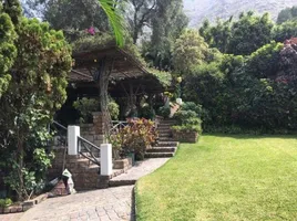 6 Bedroom Apartment for sale at Quebrada Verde, Lima District, Lima