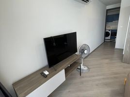 1 Bedroom Condo for rent at The Base Saphanmai, Anusawari, Bang Khen