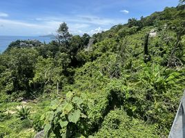  Grundstück zu verkaufen in Kathu, Phuket, Kamala