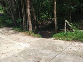 在Boat Avenue Cherngtalay, 晟泰雷出售的 土地, 晟泰雷