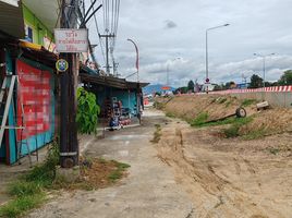  Grundstück zu verkaufen in San Kamphaeng, Chiang Mai, San Klang